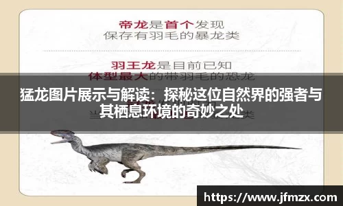 猛龙图片展示与解读：探秘这位自然界的强者与其栖息环境的奇妙之处